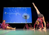 img 0809 1