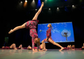 img 0816 1