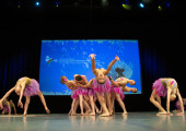 img 9325 2