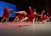 img 9506 1