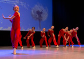 img 9649 1