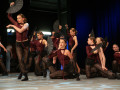 img 9774 1