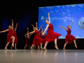 img 9913 1