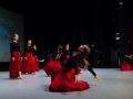 IMG 4249