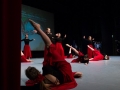 IMG 4250