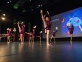 img 0964 1